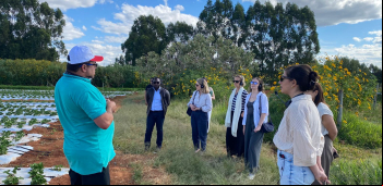 Assentamento Chapadinha recebe delegação internacional para vivência na agricultura familiar